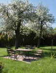Teren przyległy do domu pomocy. Okrągły stół i trzy krzesła ogrodowe ustawione na chodniku z kostki betonowej. Wokół zieleń trawnika i kwitnące na biało drzewa owocowe.